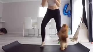 Brown dog clings to black pants woman doing yoga