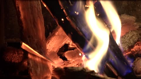 firewood burning on the brazier 2