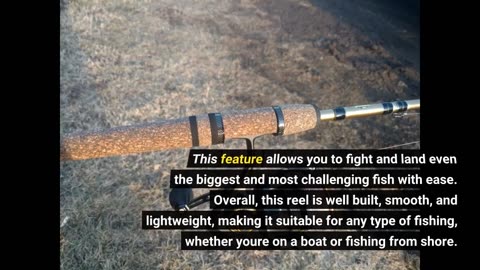 Penn Clash II Spinning Reel - Lightweight Saltwater Shore and Kayak Fishing  R