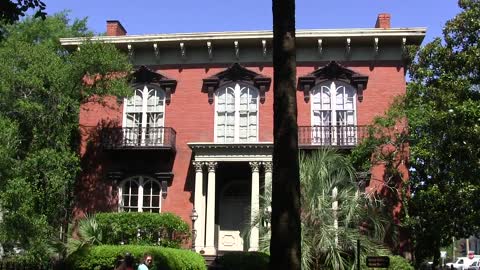 Precious Little Dog Haunted by Ghosts in Savannah