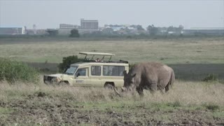 El Parque Nacional de Nairobi cumple 75 años
