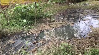 Obra inconclusa de Bonos de Agua causa emergencia ambiental en Floridablanca