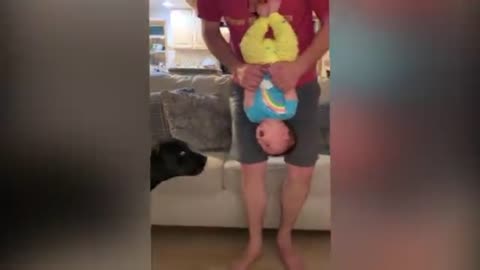 Funny baby 🤣 and dog's