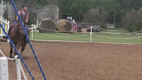 Horse Riding Flatwork