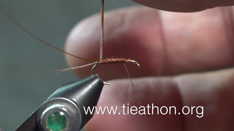 Pheasant Tail Soft Hackle