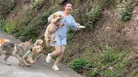 The dogs in the Countryside are very happy with their owners #viral #dogkute