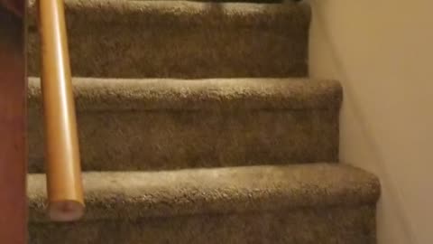 Navigating the Stairs