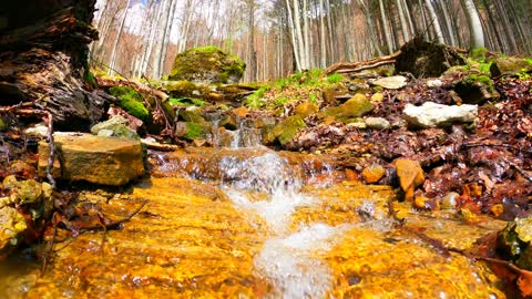 beautiful waterfall nature amazing video.4k Ultra HD