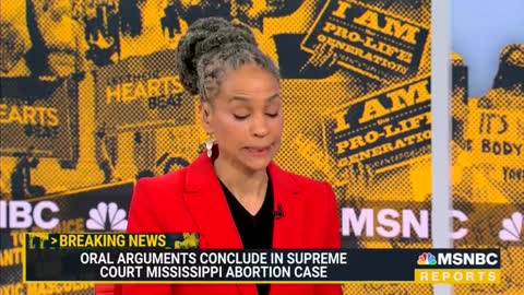 MSNBC's Maya Wiley: "If you are black, if you are Native American, if you are Latina ... you have a higher likelihood of risk of physical health issues and death if you take a child to term than if you abort a fetus."