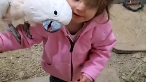 LITTLE GIRL AND PARROT