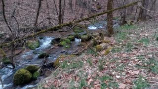 Relaxing Springtime Creek