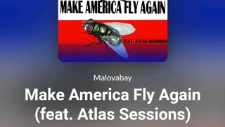 MAKE AMERICA FLY AGAIN