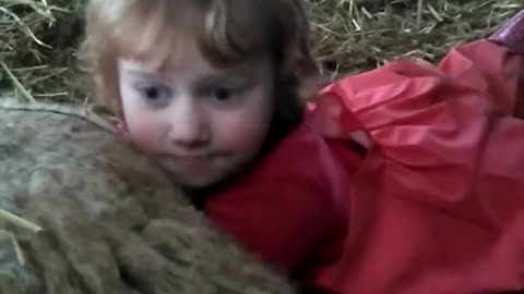 Young Farmer Girl Helps Sheep Deliver Her Lamb