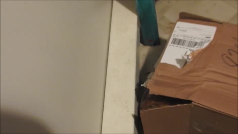 Kitten Hiding In A Box Cleaning An Empty Bowl