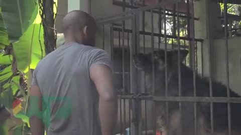 Chris Wolf Rescuing an Aggressive GSD