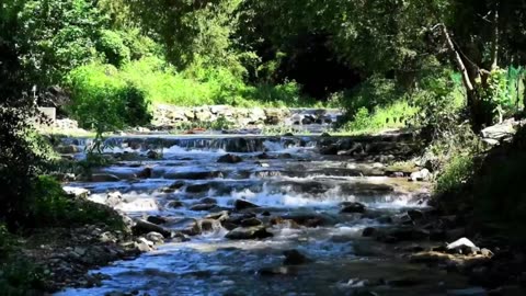 Sound of Creek/Waterfall/Birds/Nature/To Sleep, Heal While Sleeping/Meditate