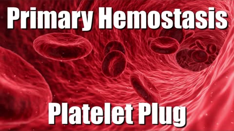 Primary Hemostasis: Platelet Plug Formation [Step-by-Step Animation]