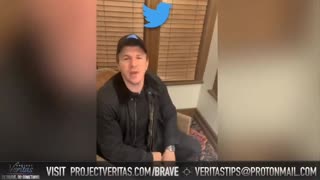 Project Veritas Twitter Account Reinstated