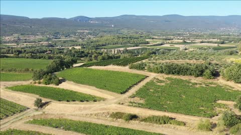 vineyards aerial view with mountains in background france vaucluse apt roussillon sunny day