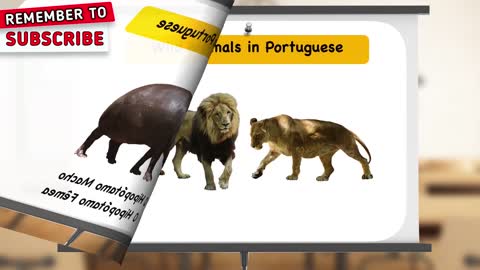 Animais Selvagens (Wild Animals) in Portuguese - Portuguese Today