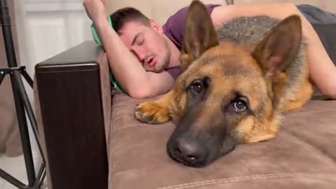 German Shepherd Reacts to My Snoring