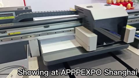%25 unbelievable ways to know about SPRINTER DPP-A1E 600mm*900mm UV Inkjet mini Printer