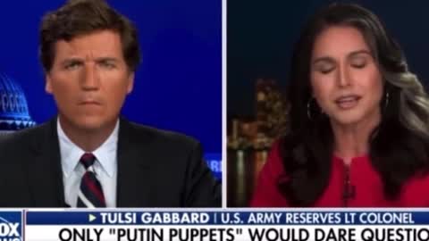 Tulsi Gabbard - Mitt Romney Should Resign