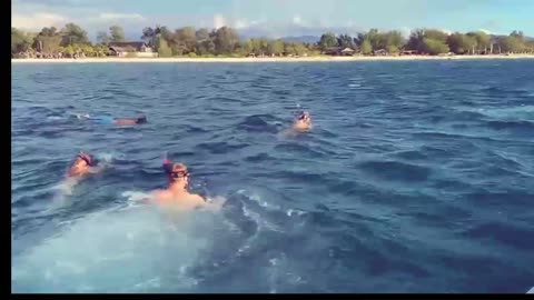 Snorkeling beach with Familly England GILITRAWANGAN Seminyak