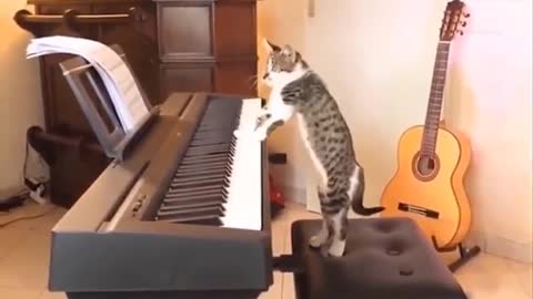 Cat Thomas plays the piano Don't miss