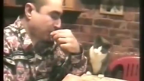 Deaf's man cat realizing meowing is useless so he is communicating using sign