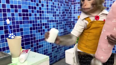 Cute baby monkey eats fruit at the farm and goes to the toilet Baby monkey animal video