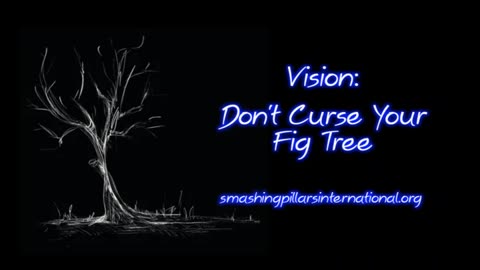 Vision: Don't Curse Your Fig Tree