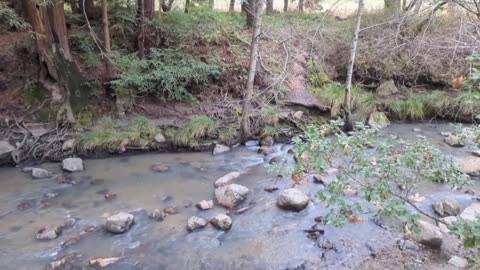 Walk Along The Creek (no narration)