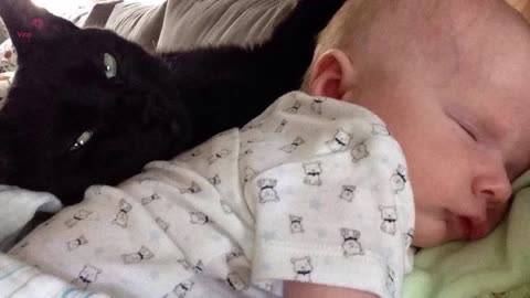 Scary Cat Saves Baby From This Babysitter
