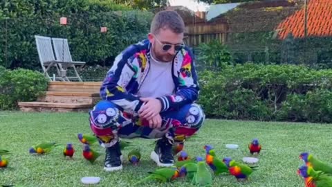 Feeding Parots