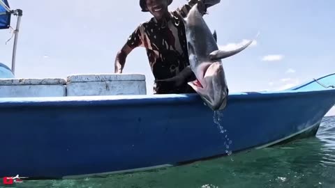Shoot dog toth tuna
