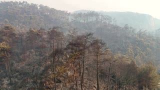 Drone footage shows wildfire destruction in Turkey