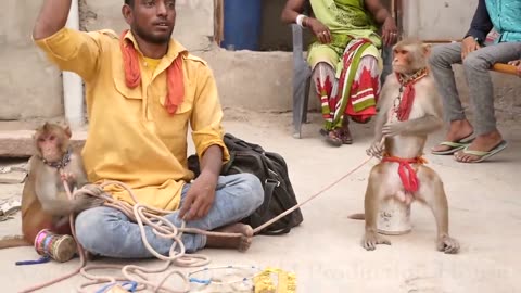 Funny Monkey Dance Video.Comedy Drama in India.monkey game