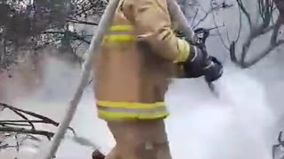 Bomberos atiende incendio en Ceballos