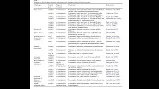 Bonus 4 GMO Revisited