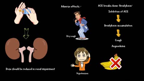 Anti-Hypertensive Medications - ACE Inhibitors, ARBs, & Direct Renin Inhibitors