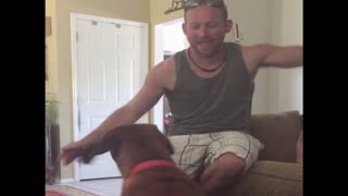 Owner learns why he shouldn't tease his dog