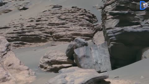 NASA Mars Rovers captured shocking scene from Mars Life