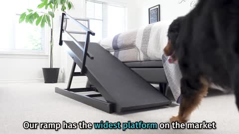DoggoRamps - The Bed Ramp for BIG Dogs! (& medium dogs, too)