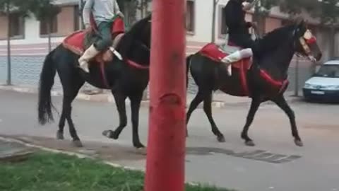 Cheval traditionnel en parade