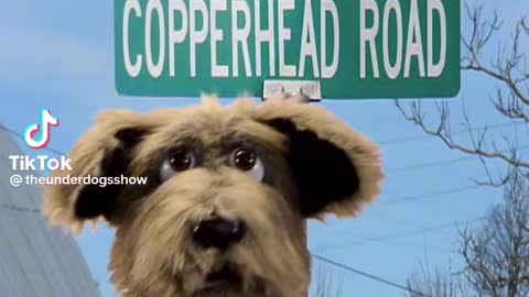 Copperhead Road (Dog edition)