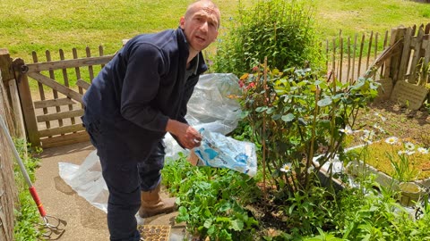 Gardening at Home Strawberries Tomatoes Watermellon Roses Polytunnel Snails GIO Landscapes