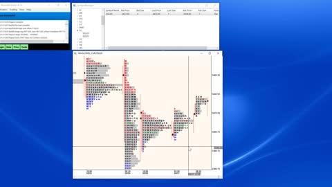 Bluewater Trader - Market Profile Basics