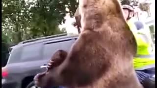 🔥 USA 🇺🇸 VS 🇷🇺 RUSSIA 🐻