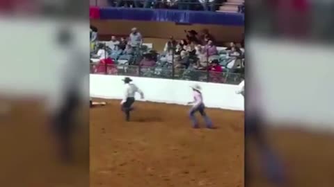Horrifying moment! Rodeo horse crashes into wall and drops dead